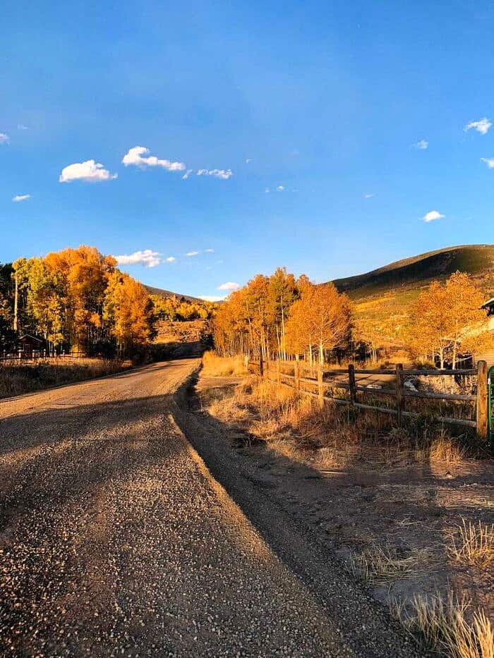 Nine Favorite Things | halfbakedharvest.com