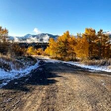 Nine Favorite Things | halfbakedharvest.com