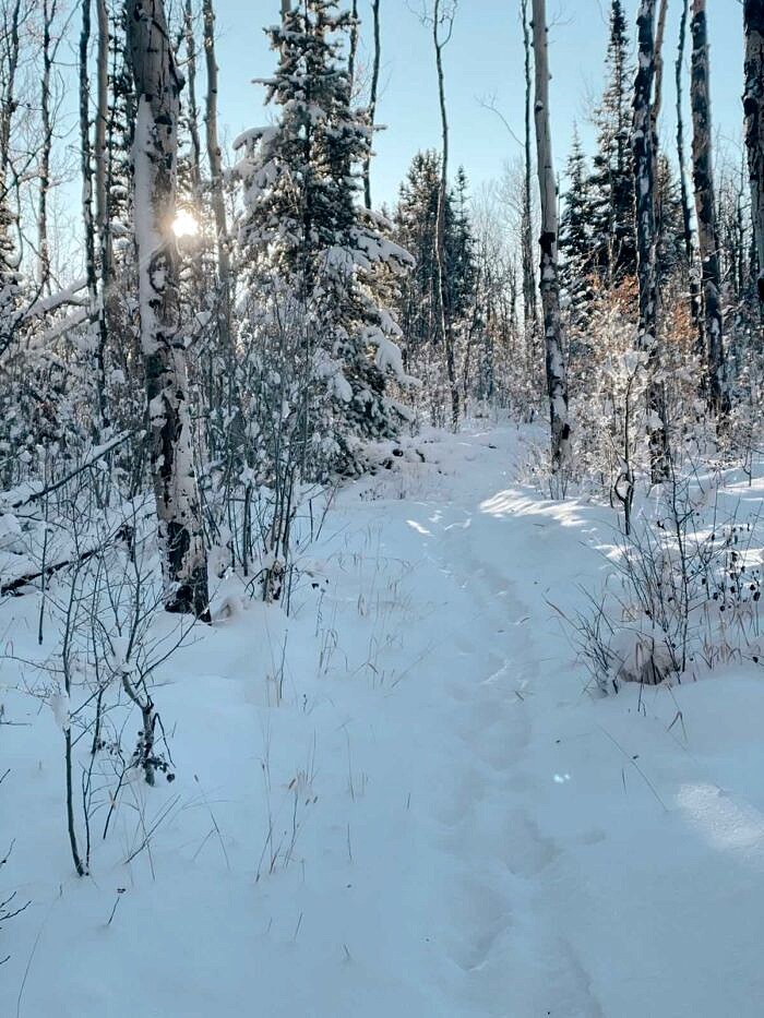 Nine Favorite Things | halfbakedharvest.com Nine Favorite Things | halfbakedharvest.com