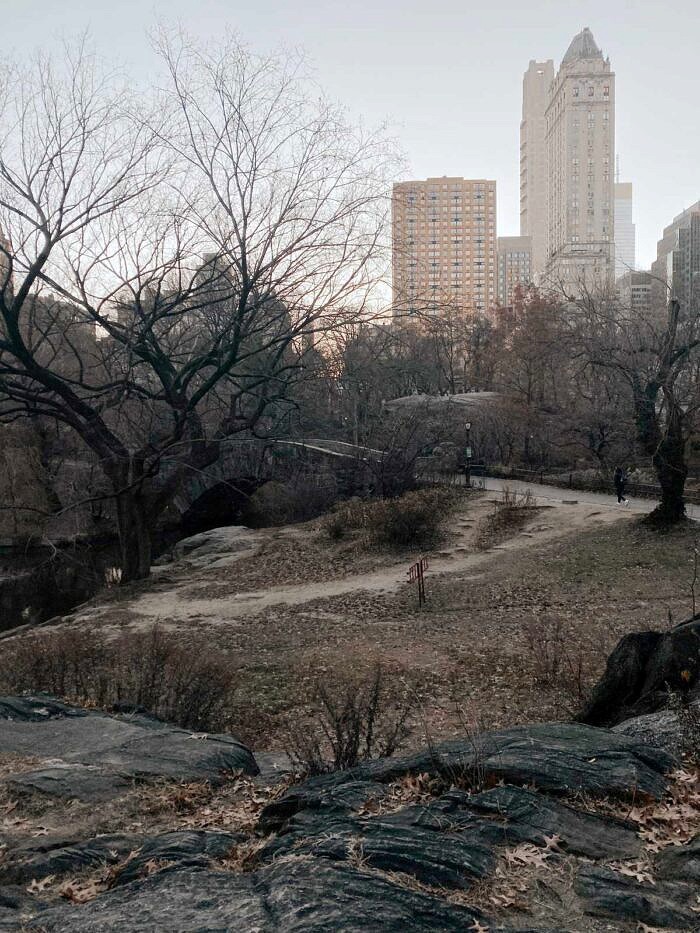 Nine Favorite Things | halfbakedharvest.com