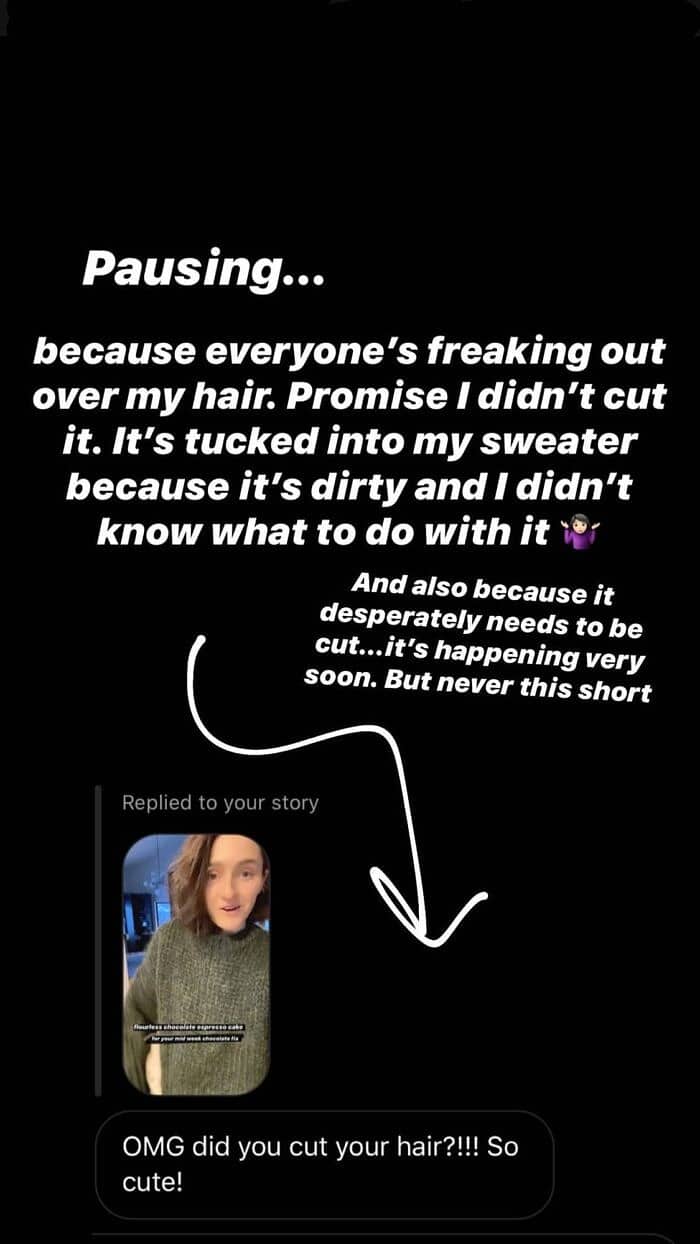 Instagram story screenshot | halfbakedharvest.com