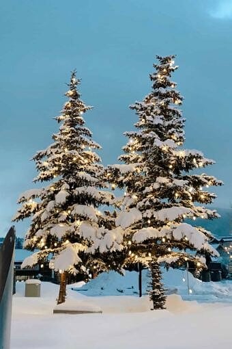 Nine Favorite Things | halfbakedharvest.com