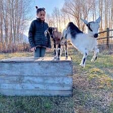 Nine Favorite Things | halfbakedharvest.com