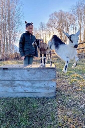 Nine Favorite Things | halfbakedharvest.com