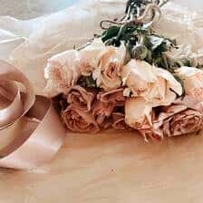 Nine Favorite Things | halfbakedharvest.com