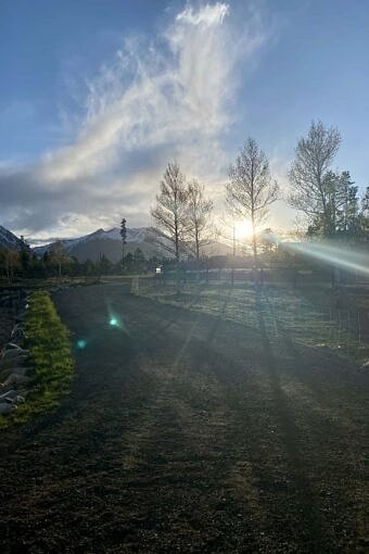 Nine Favorite Things | halfbakedharvest.com