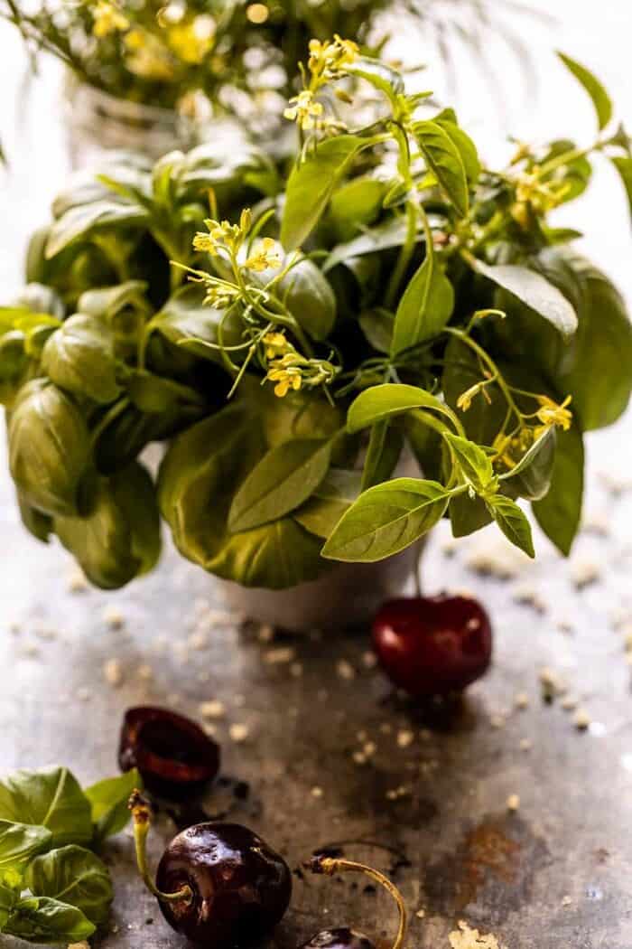 Garden Cherry Bourbon Smash | halfbakedharvest.com