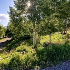 Nine Favorite Things | halfbakedharvest.com