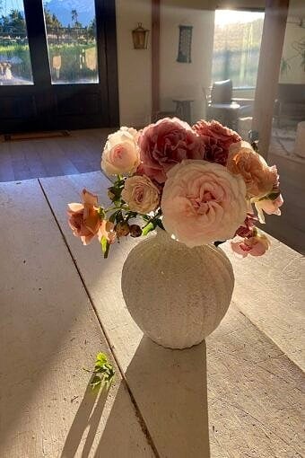 Nine Favorite Things | halfbakedharvest.com