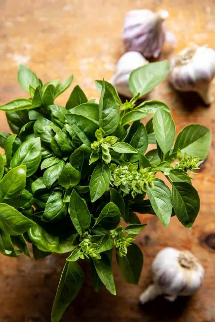 prep photo of basil and garlic
