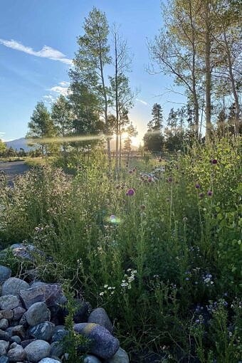 Nine Favorite Things | halfbakedharvest.com