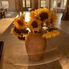 Nine Favorite Things | halfbakedharvest.com