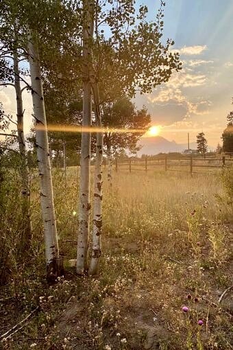 Nine Favorite Things | halfbakedharvest.com