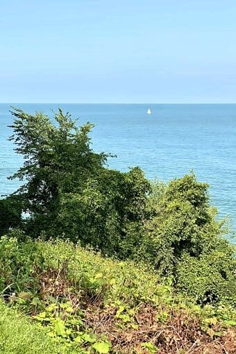 Nine Favorite Things | halfbakedharvest.com