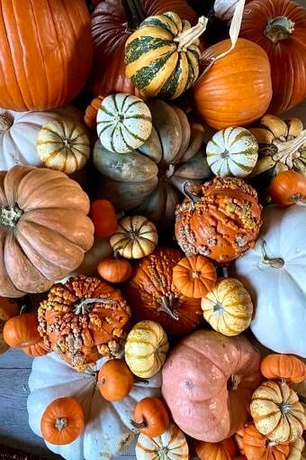 Nine Favorite Things | halfbakedharvest.com