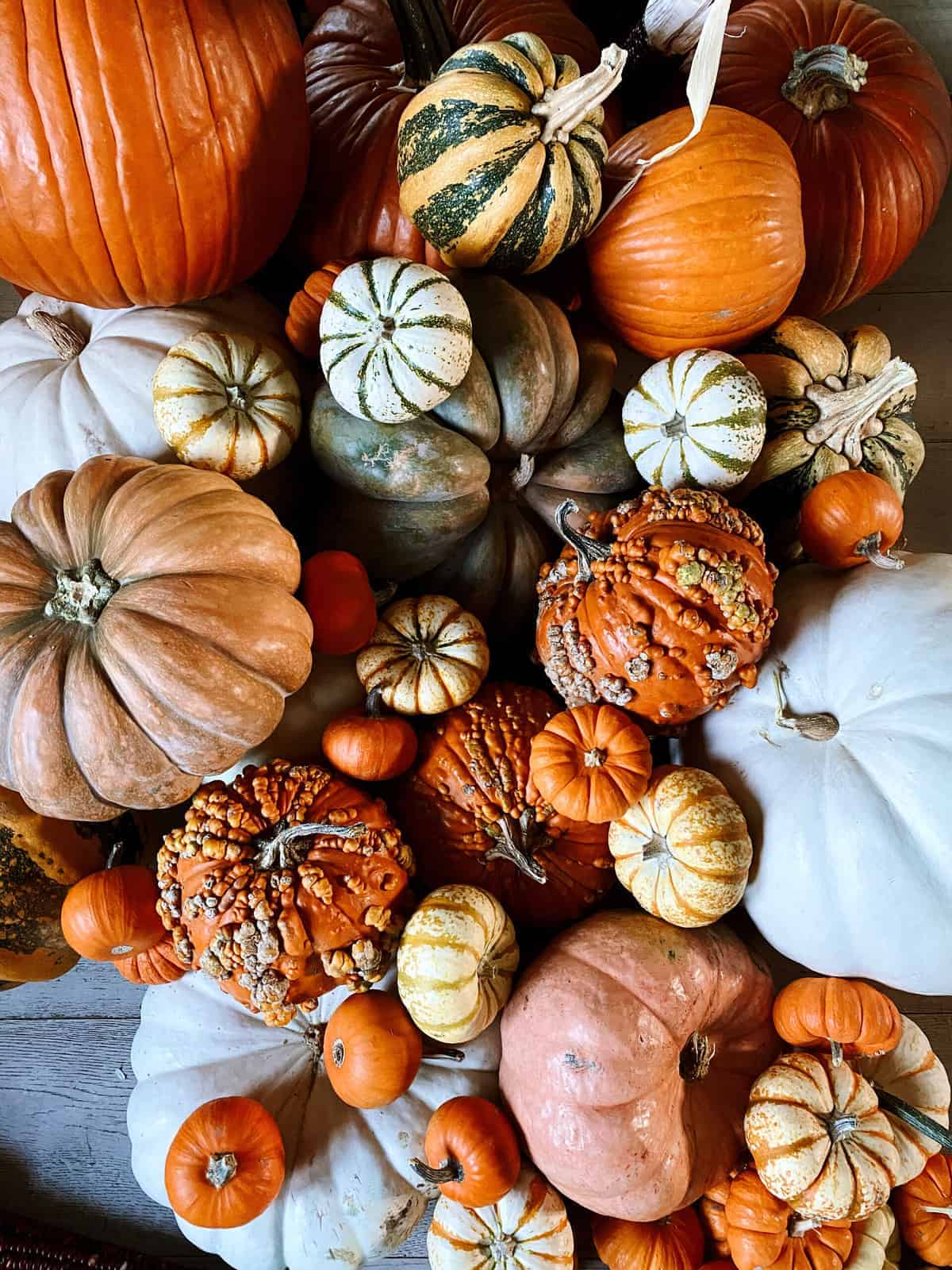 Nine Favorite Things | halfbakedharvest.com