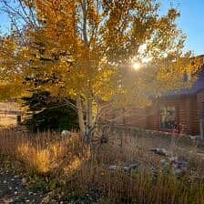 Nine Favorite Things | halfbakedharvest.com