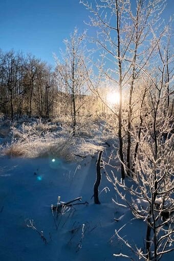 Nine Favorite Things | halfbakedharvest.com