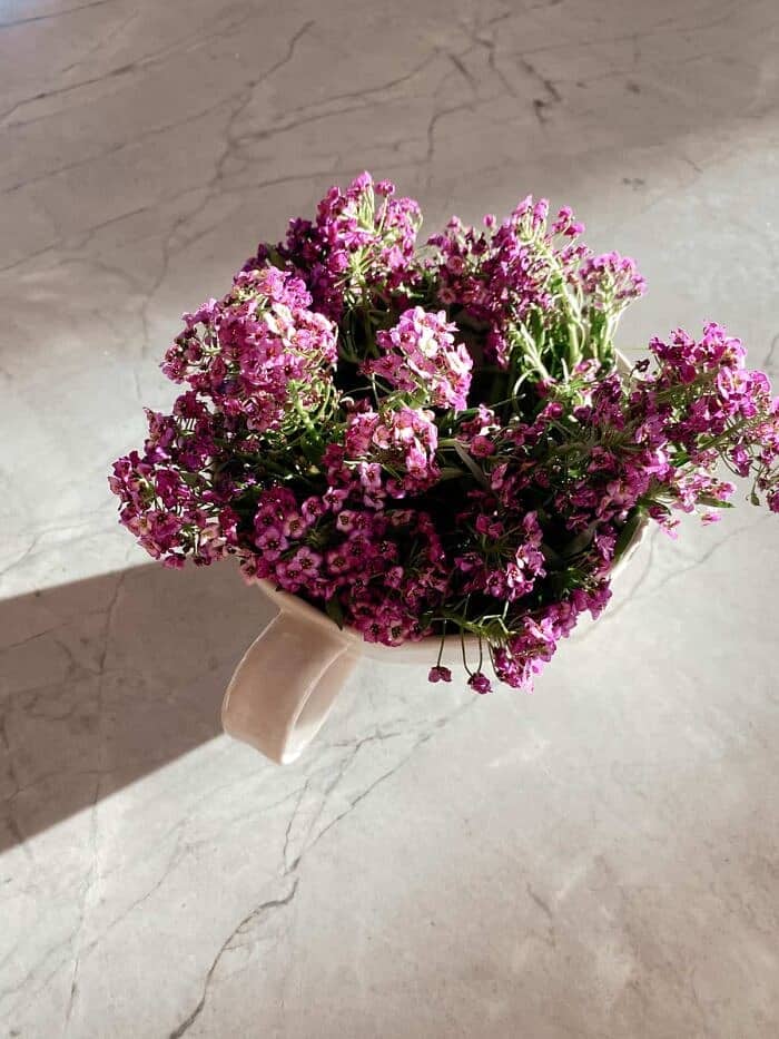 Nine Favorite Things | halfbakedharvest.com