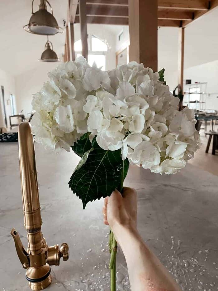 Nine Favorite Things | halfbakedharvest.com