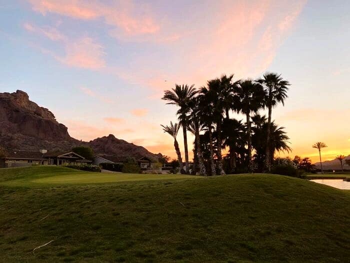 Nine Favorite Things | halfbakedharvest.com