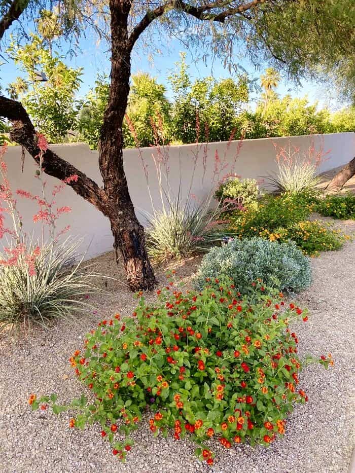 Nine Favorite Things | halfbakedharvest.com