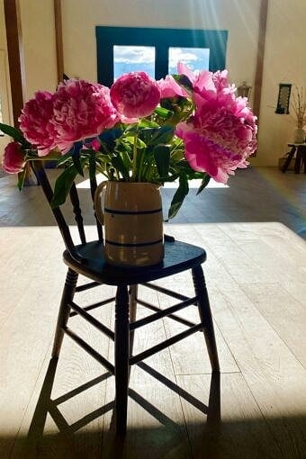 Nine Favorite Things | halfbakedharvest.com