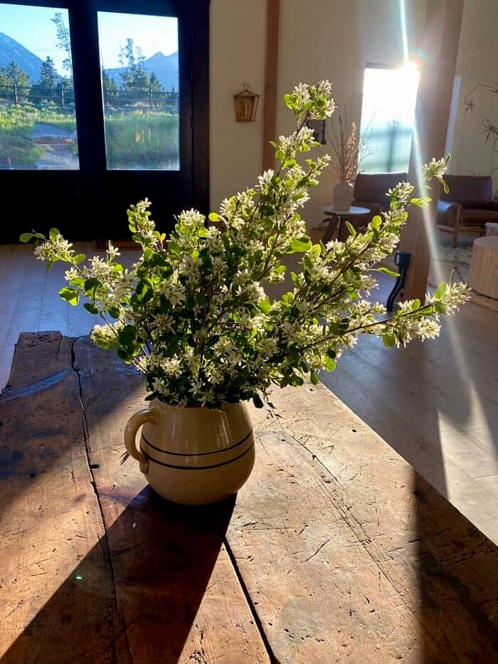 Nine Favorite Things | halfbakedharvest.com