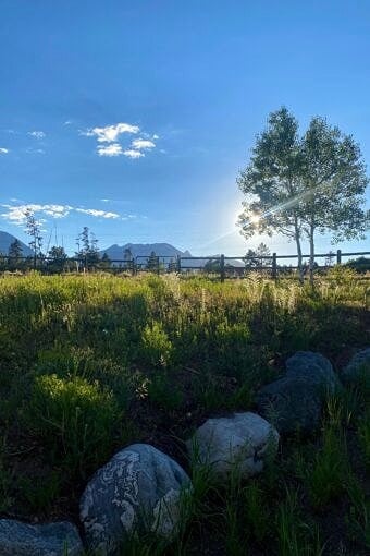 Nine Favorite Things | halfbakedharvest.com