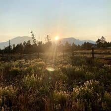 Nine Favorite Things | halfbakedharvest.com