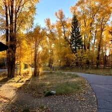 Nine Favorite Things | halfbakedharvest.com