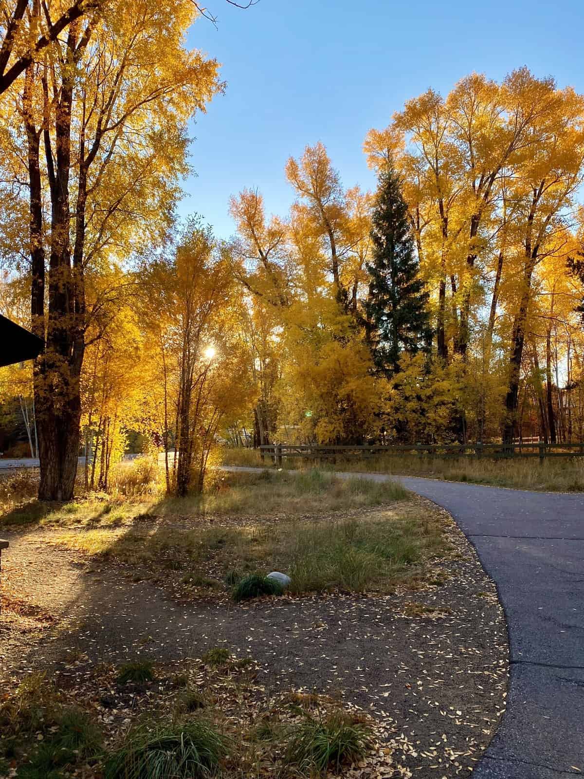 Nine Favorite Things | halfbakedharvest.com