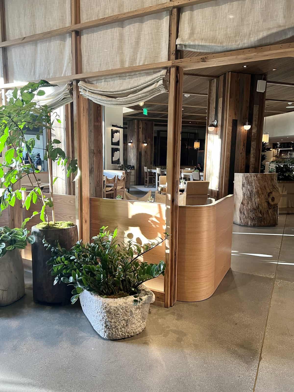 Nine Favorite Things | halfbakedharvest.com