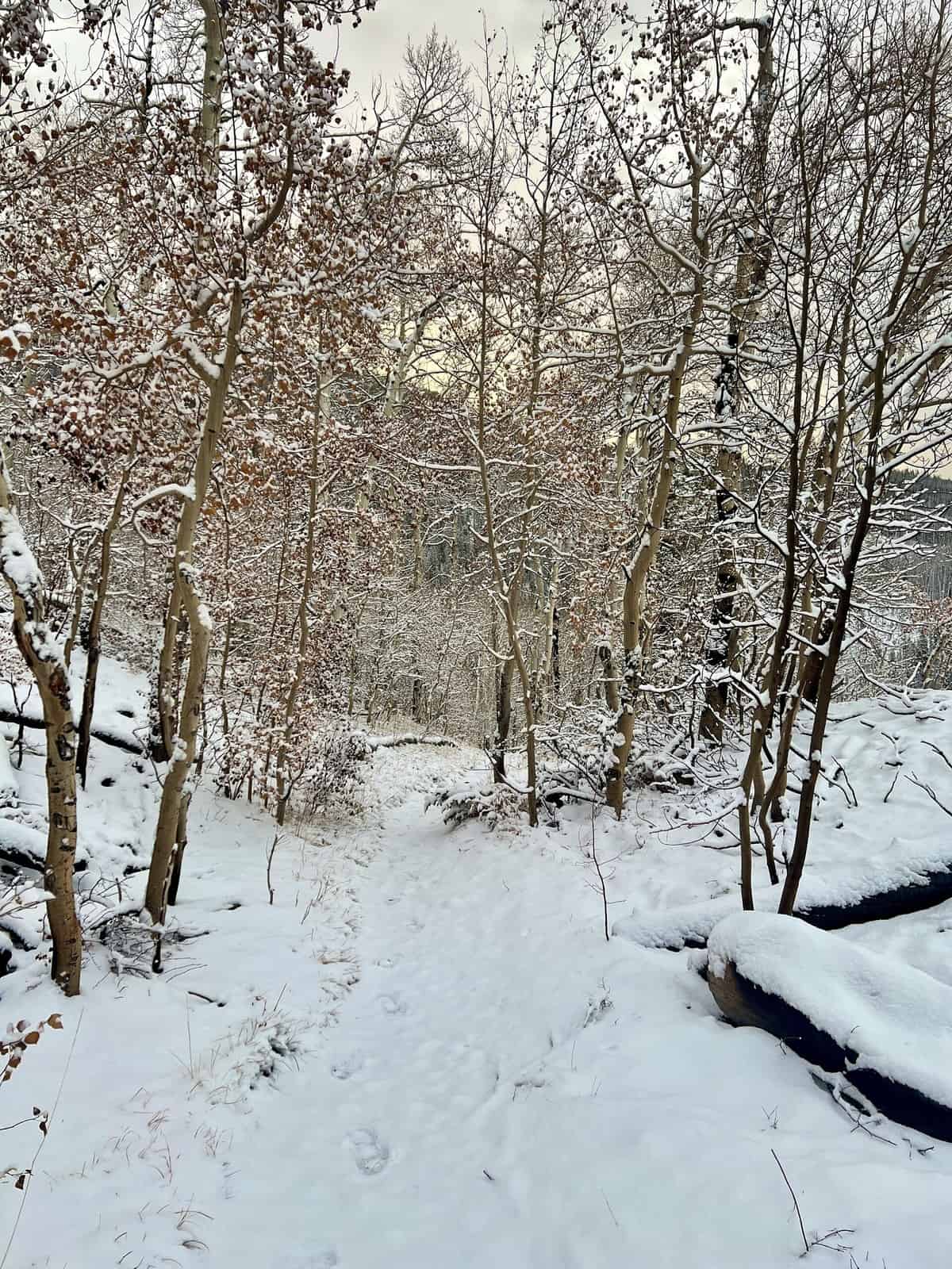 Nine Favorite Things | halfbakedharvest.com