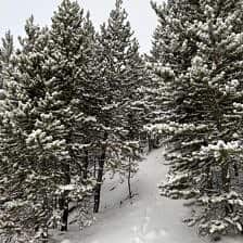 Nine Favorite Things | halfbakedharvest.com