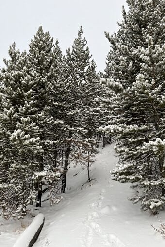 Nine Favorite Things | halfbakedharvest.com