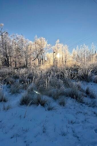 Nine Favorite Things | halfbakedharvest.com