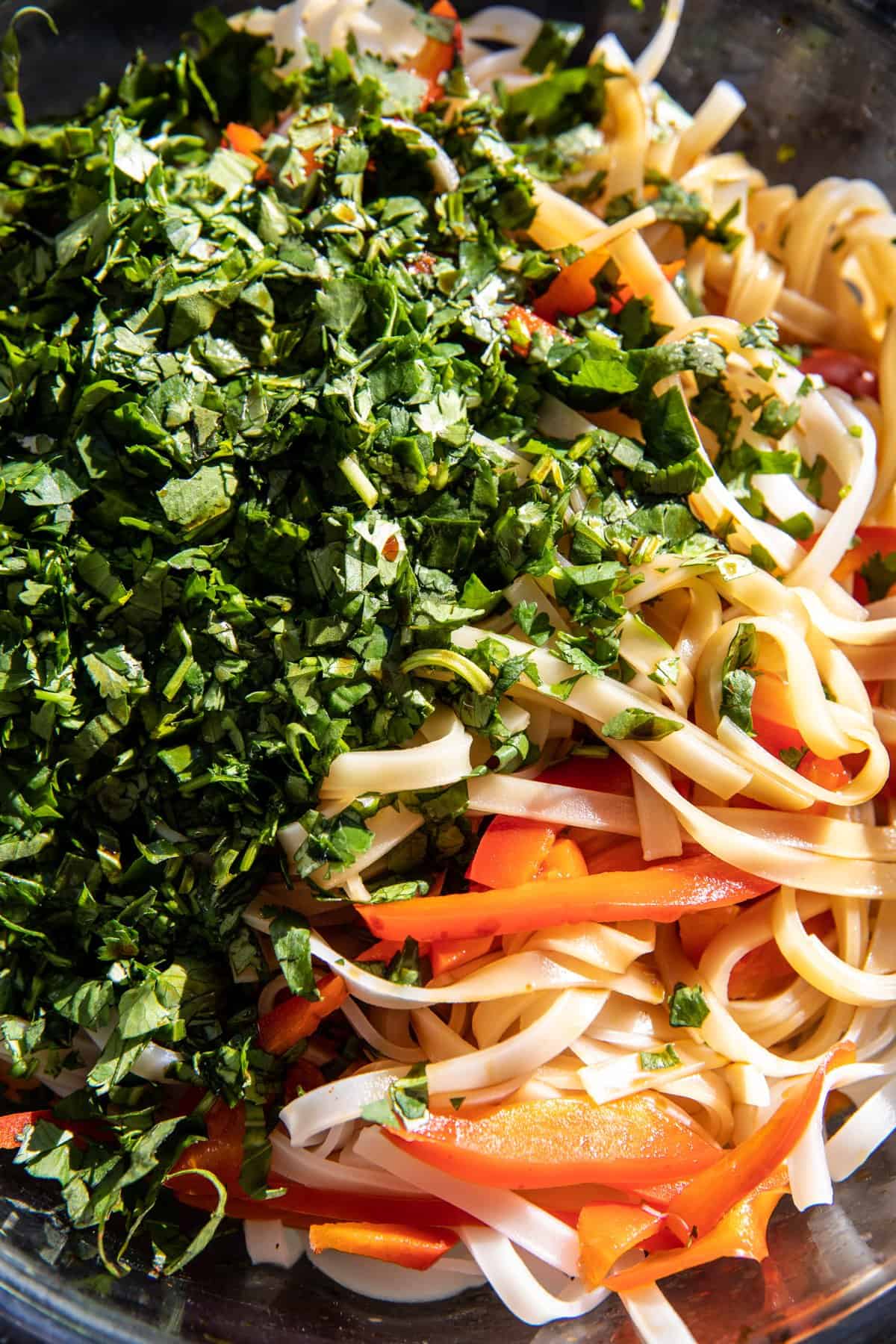 Crispy Sesame Garlic Chili Oil Noodles | halfbakedharvest.com