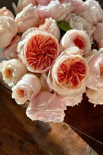 Nine Favorite Things | halfbakedharvest.com