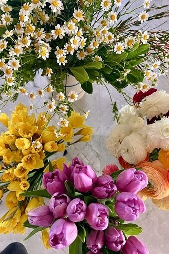 Nine Favorite Things | halfbakedharvest.com