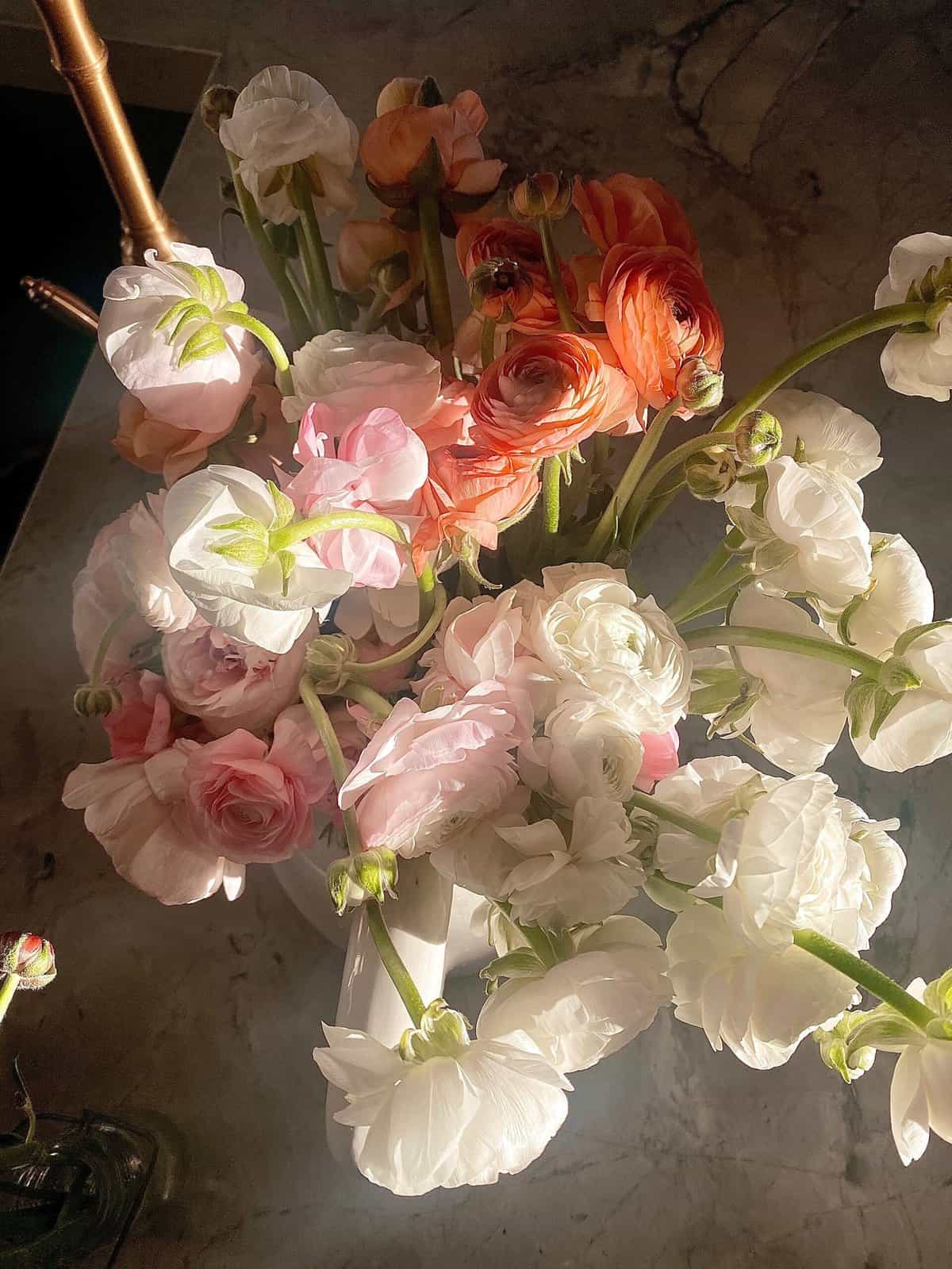 Nine Favorite Things | halfbakedharvest.com