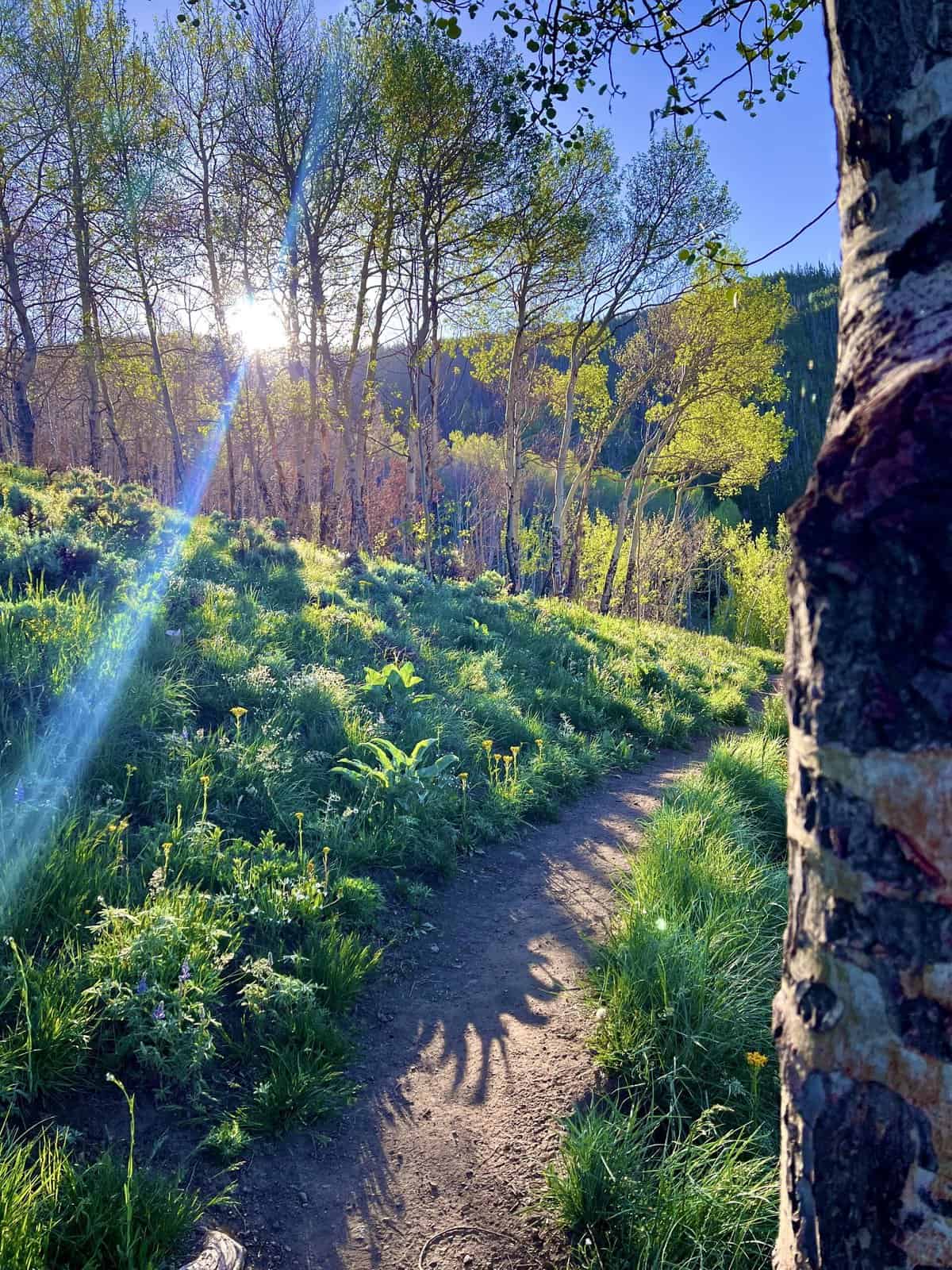 Nine Favorite Things | halfbakedharvest.com