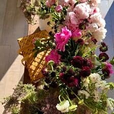 Nine Favorite Things | halfbakedharvest.com