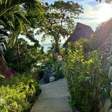 Nine Favorite Things | halfbakedharvest.com