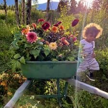 Nine Favorite Things | halfbakedharvest.com