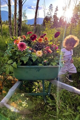 Nine Favorite Things | halfbakedharvest.com