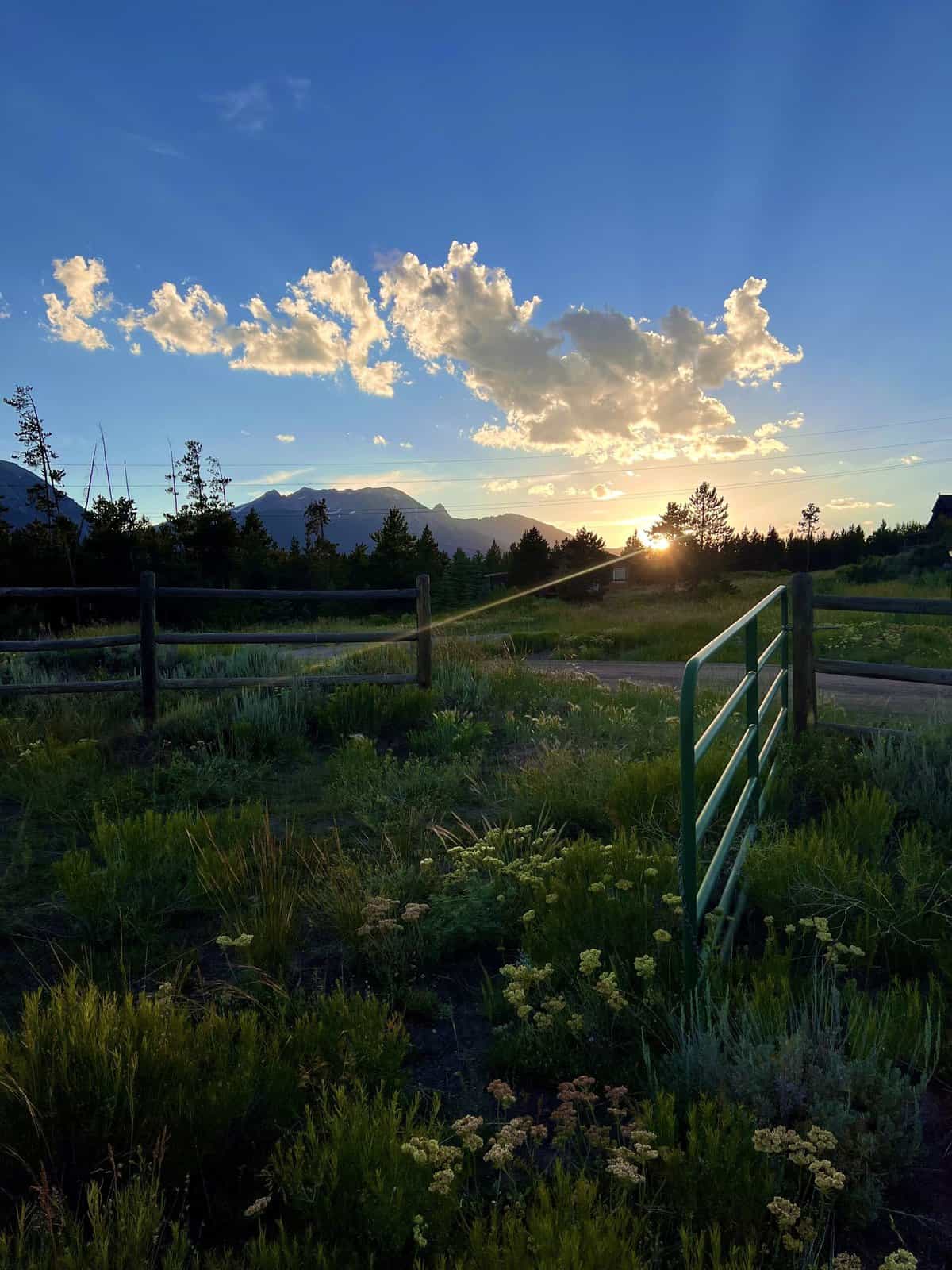 Nine Favorite Things | halfbakedharvest.com