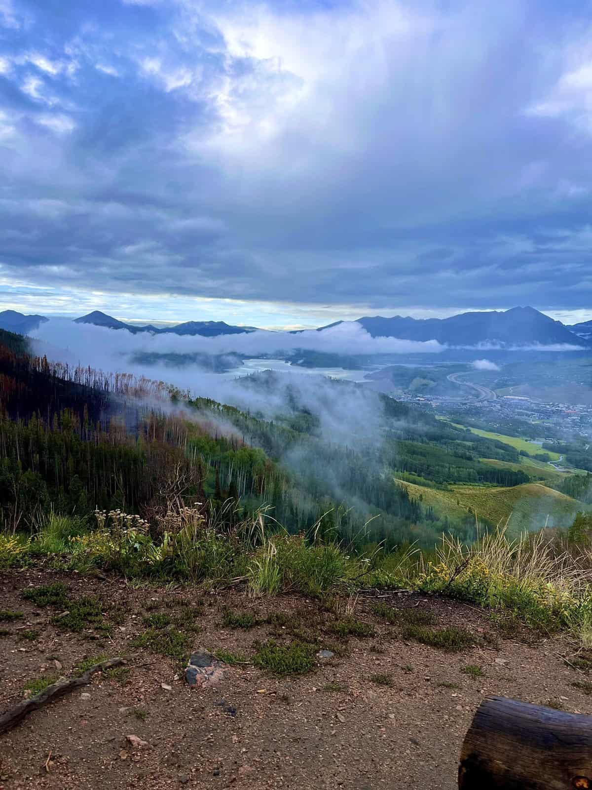 Nine Favorite Things | halfbakedharvest.com