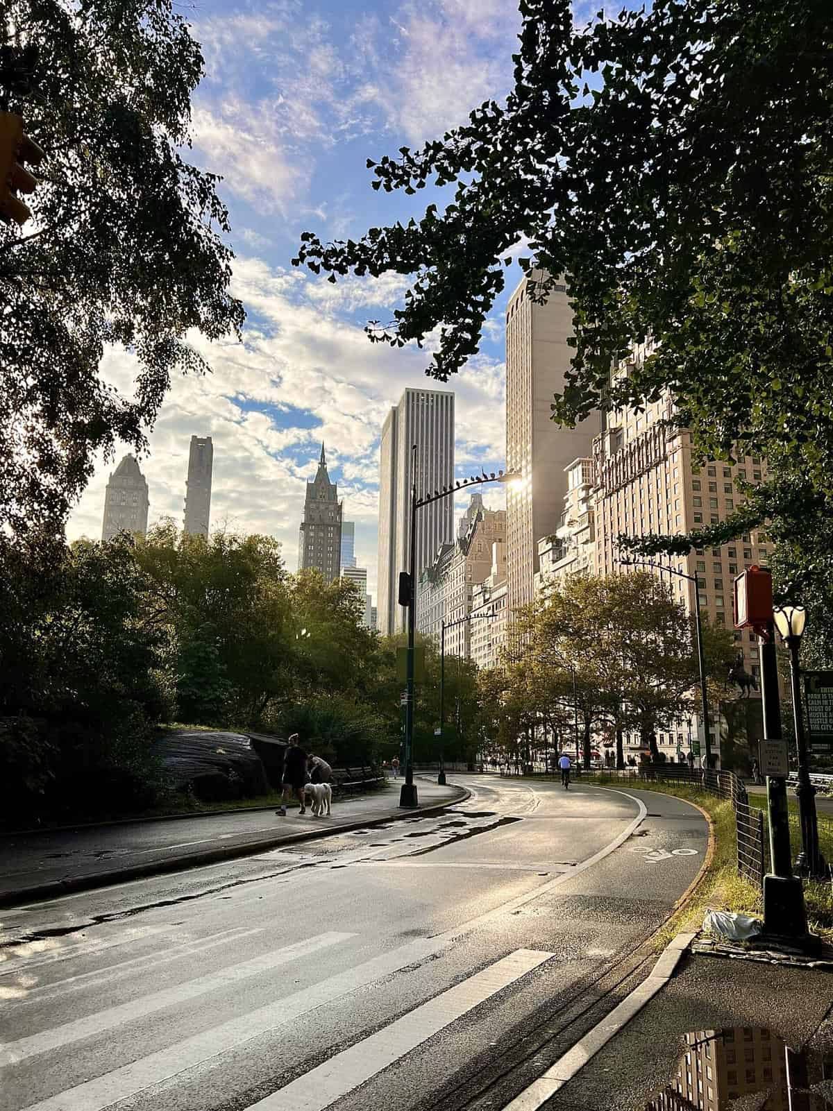 Nine Favorite Things | halfbakedharvest.com