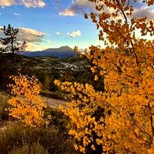 Nine Favorite Things | halfbakedharvest.com